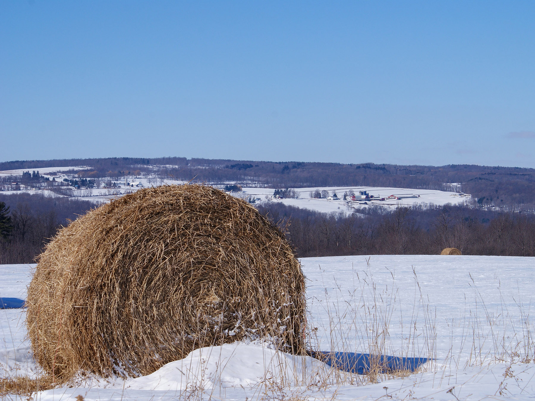hay bale in snow